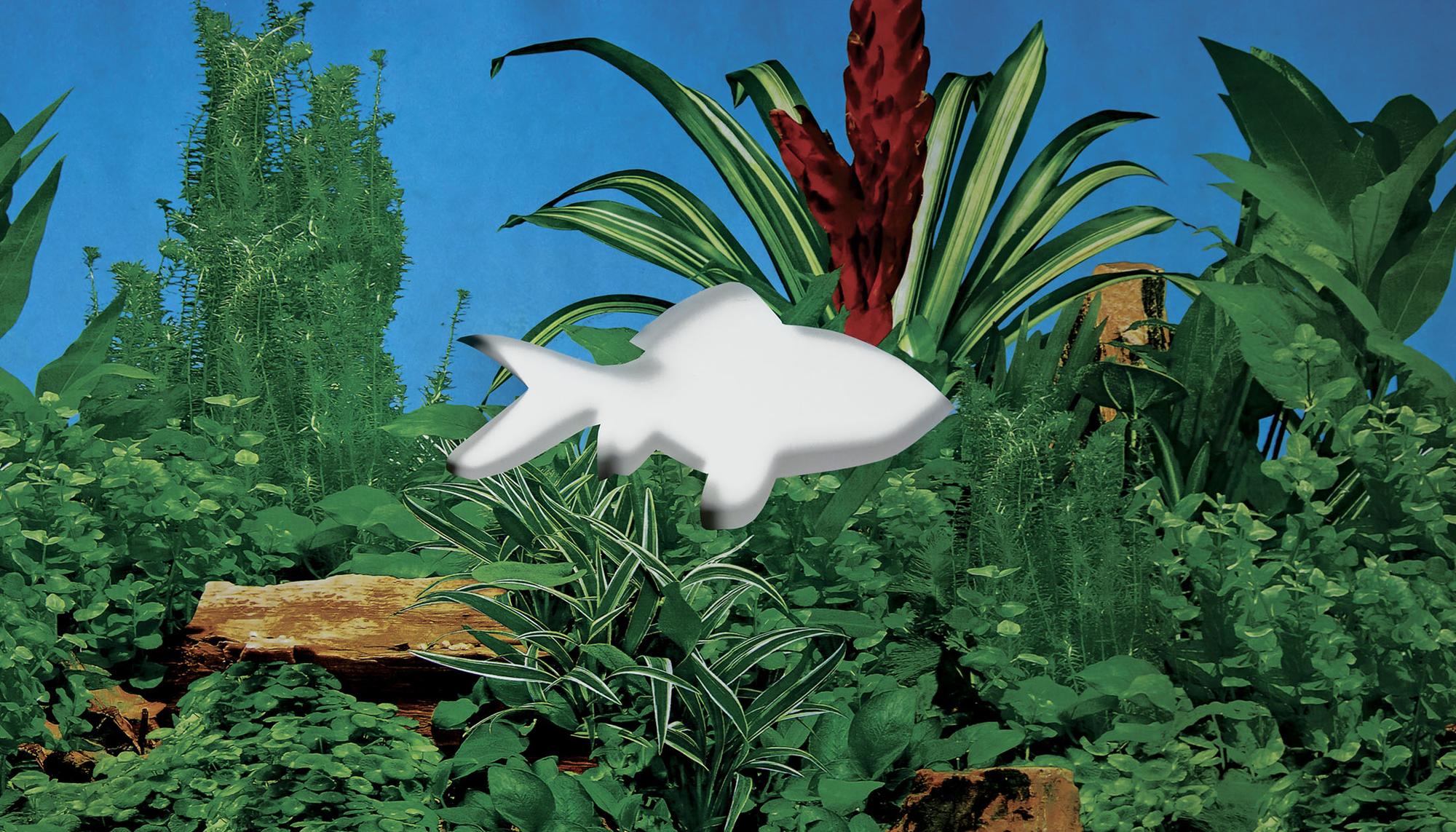 Mar Menor ecocidio anunciado - 3